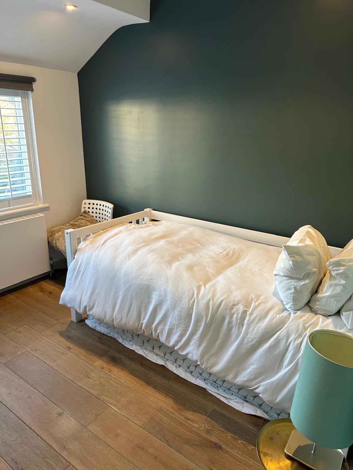Richmond Park House Stunning Architect Designed London